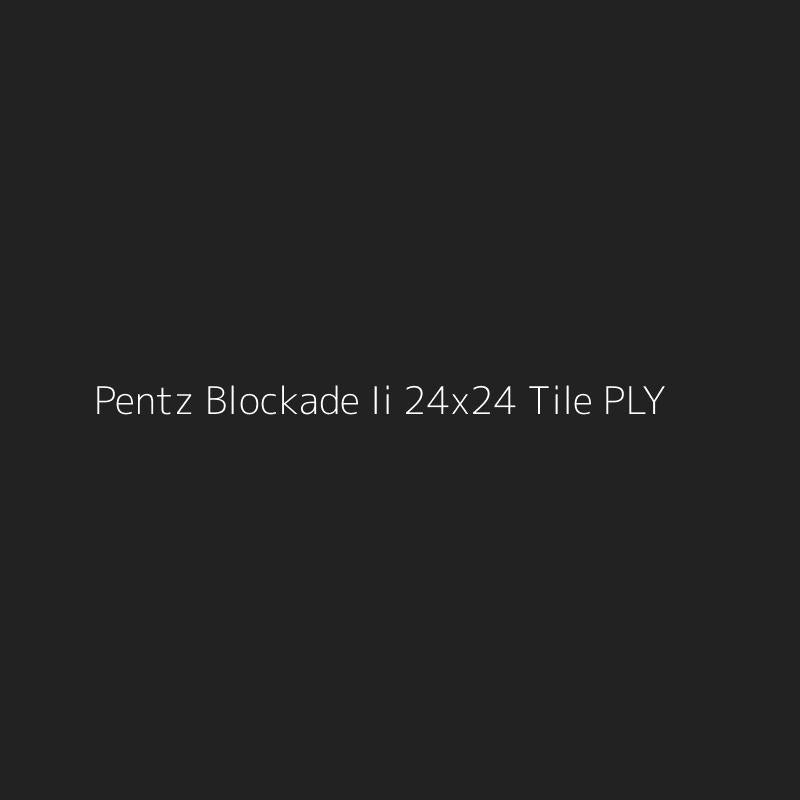 Pentz Blockade Ii 24x24 Tile PLY