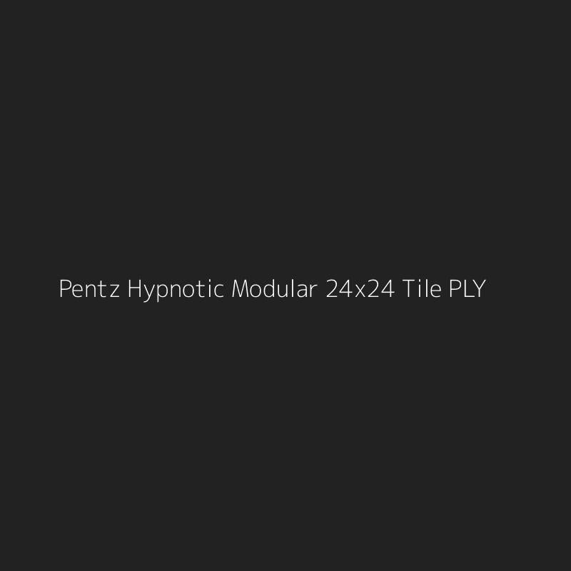 Pentz Hypnotic Modular 24x24 Tile PLY