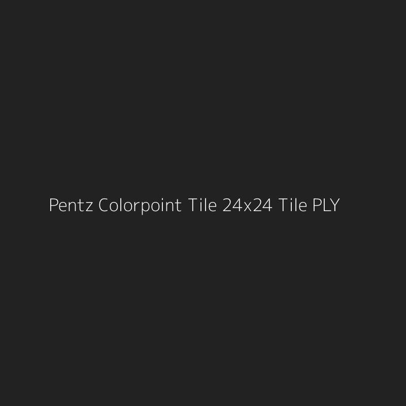 Pentz Colorpoint Tile 24x24 Tile PLY
