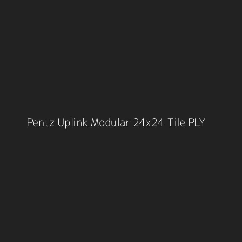 Pentz Uplink Modular 24x24 Tile PLY