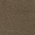 Hot Pursuit Bronzite
