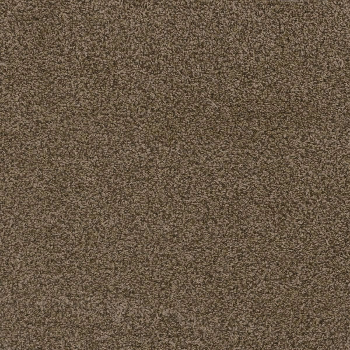 Hot Pursuit Bronzite