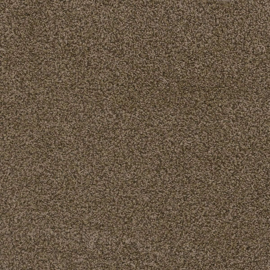 Hot Pursuit Bronzite