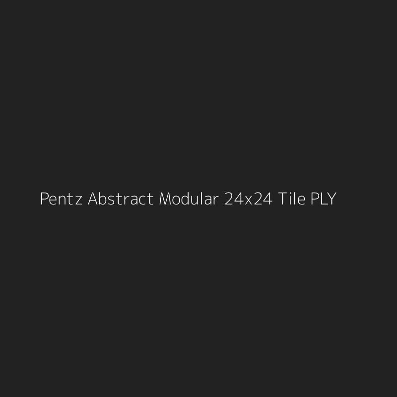 Pentz Abstract Modular 24x24 Tile PLY