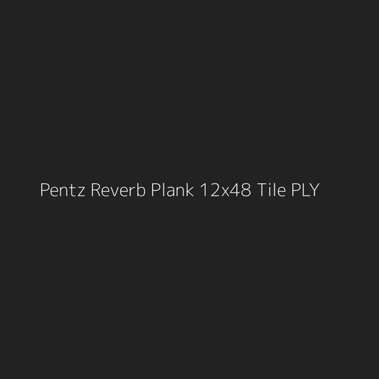 Pentz Reverb Plank 12x48 Tile PLY