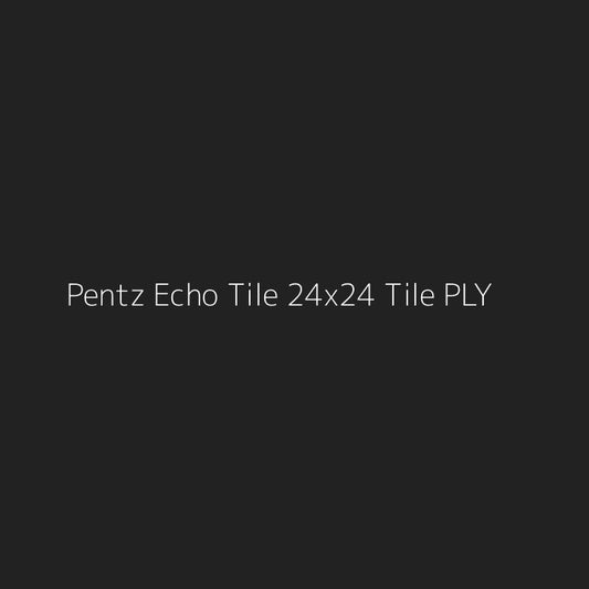 Pentz Echo Tile 24x24 Tile PLY