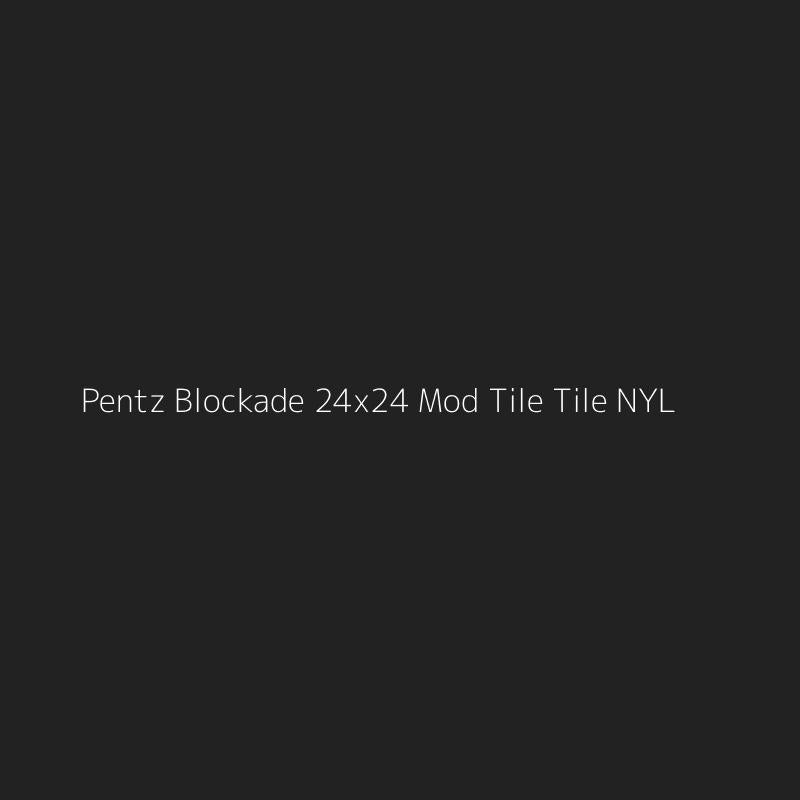 Pentz Blockade 24x24 Mod Tile Tile NYL