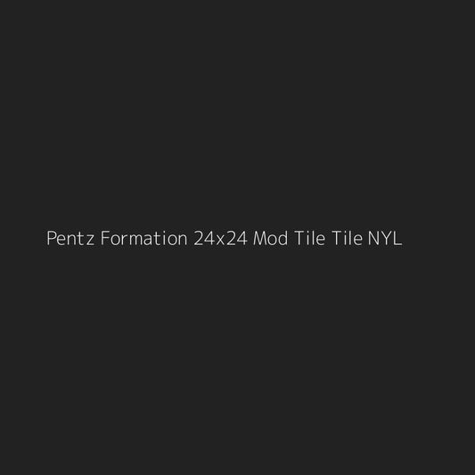 Pentz Formation 24x24 Mod Tile Tile NYL