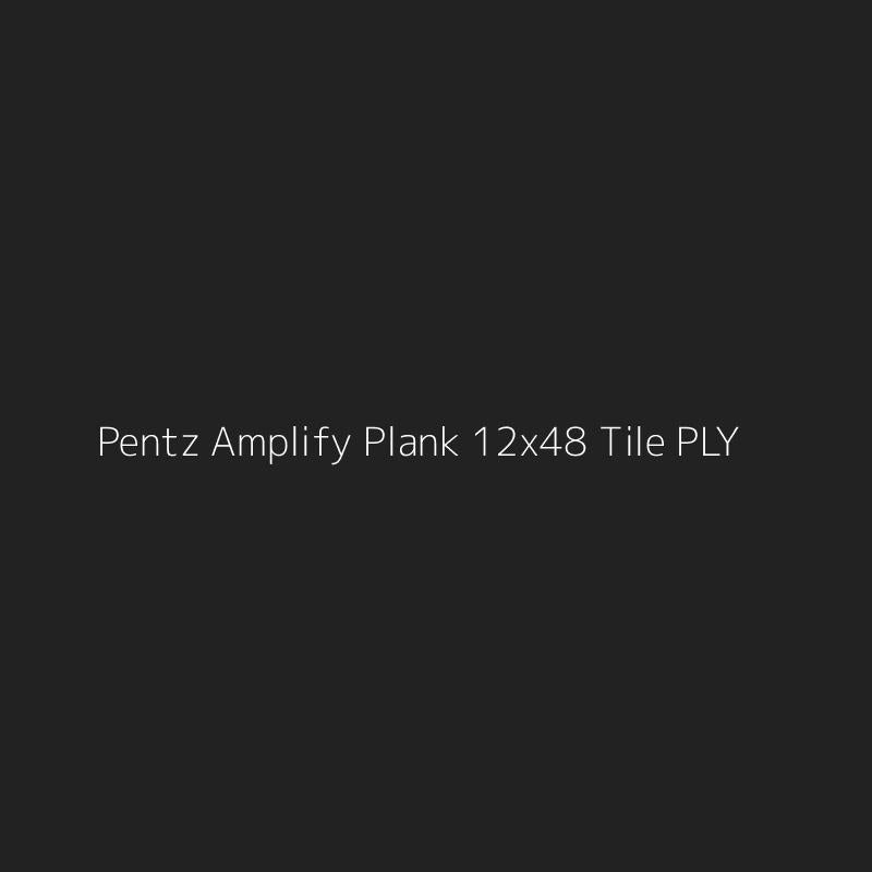 Pentz Amplify Plank 12x48 Tile PLY