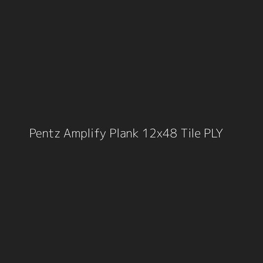 Pentz Amplify Plank 12x48 Tile PLY