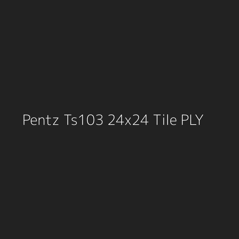 Pentz Ts103 24x24 Tile PLY