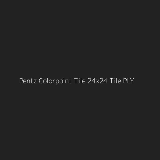 Pentz Colorpoint Tile 24x24 Tile PLY