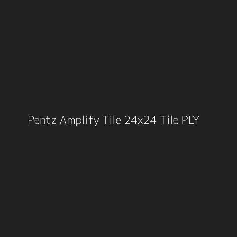 Pentz Amplify Tile 24x24 Tile PLY