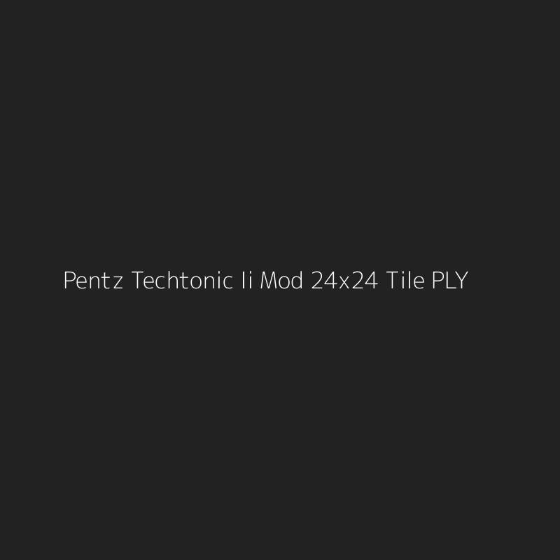 Pentz Techtonic Ii Mod 24x24 Tile PLY