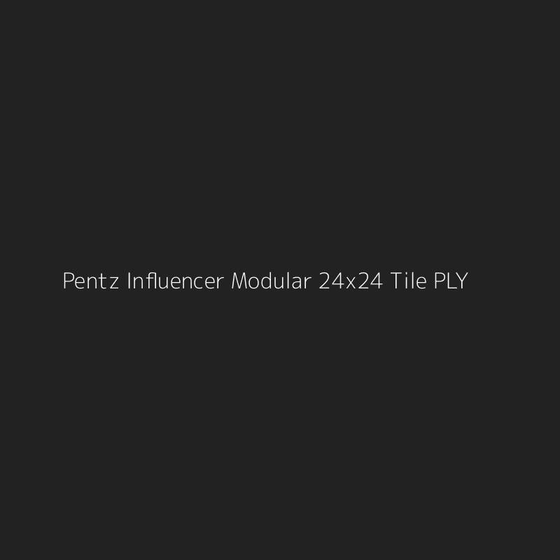 Pentz Influencer Modular 24x24 Tile PLY