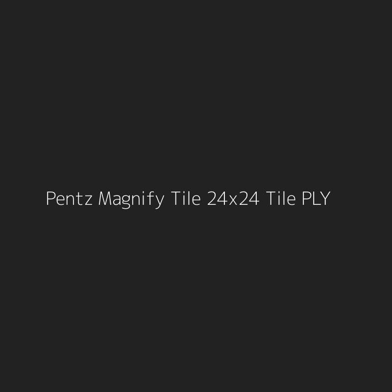 Pentz Magnify Tile 24x24 Tile PLY