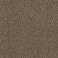 Hot Pursuit Fossil