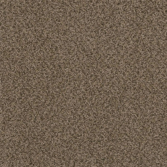 Hot Pursuit Fossil